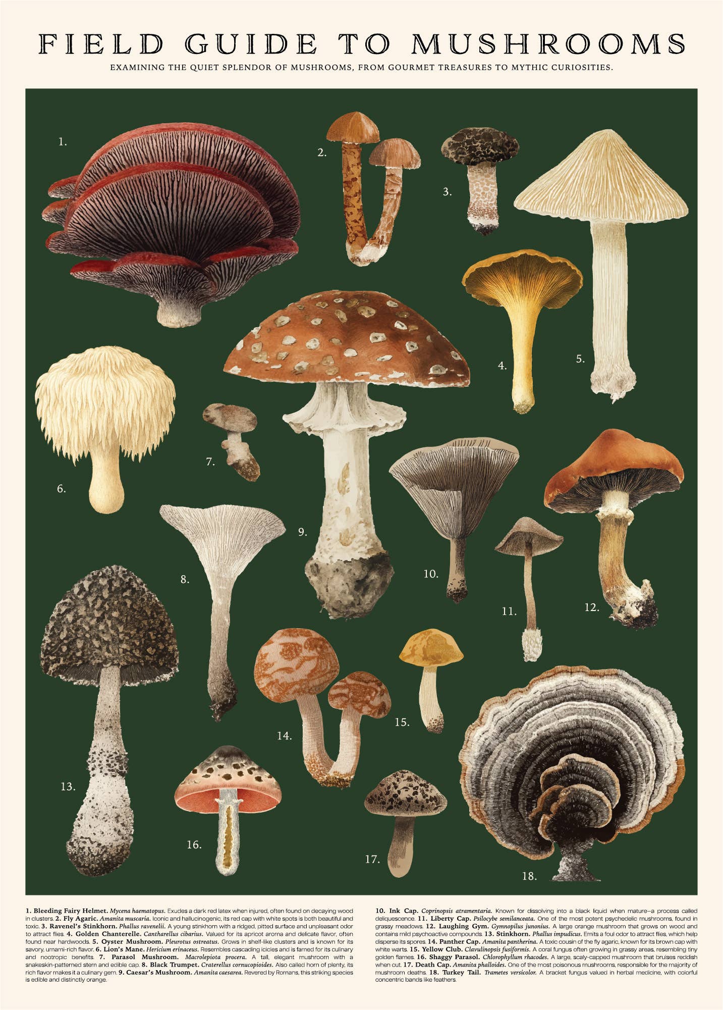 123 Farm - 500 Pc. Mushrooms Puzzle