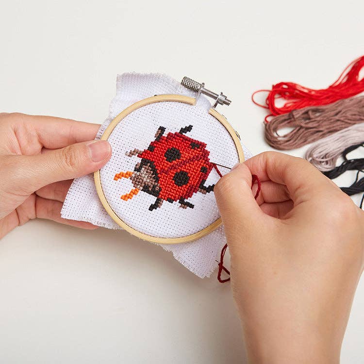 Mini Cross Stitch Embroidery Kit - Ladybug
