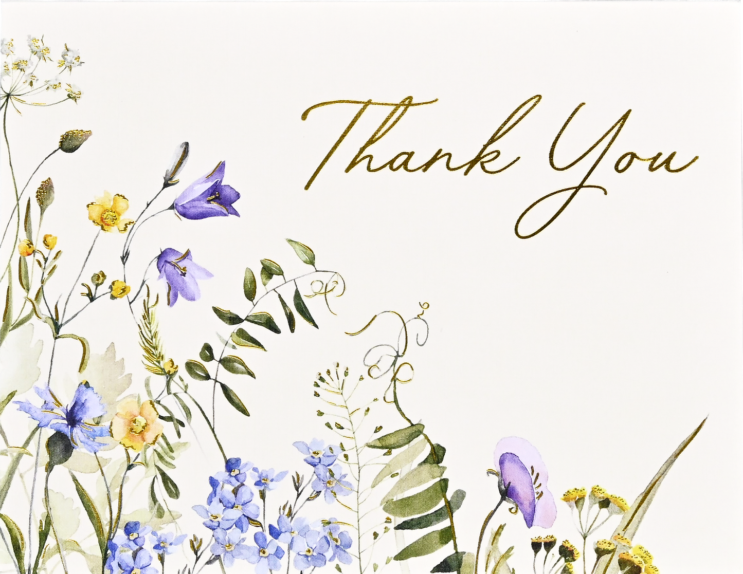 Peter Pauper Press - Wildflowers Premium Thank You Note Cards