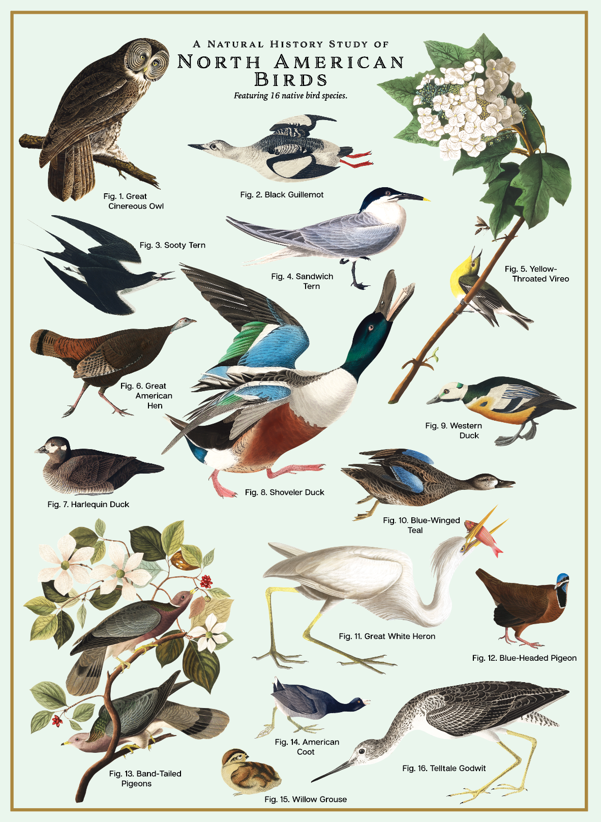 123 Farm - Birds – 500 Pc. Puzzle
