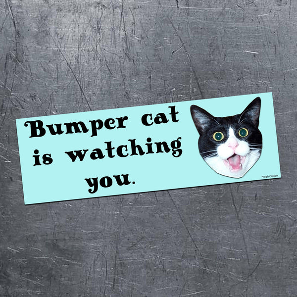 High Cotton Gifts - Bumper Cat Car Magnet