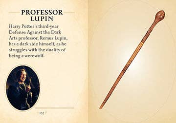 Insight Editions - Harry Potter: The Mini Book of Wands