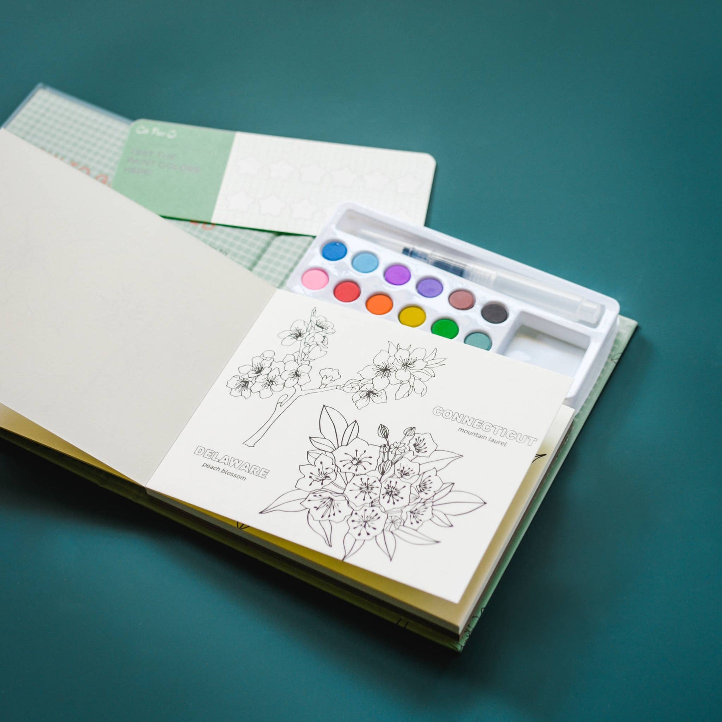 Cate Paper Co. - Watercolor Book and Paint Set - State Flowers