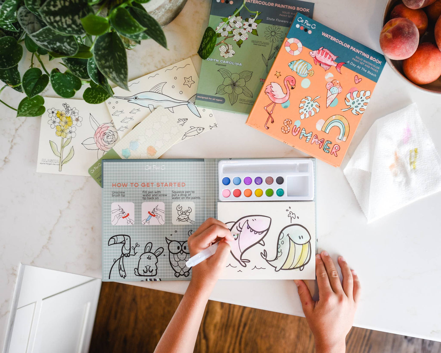 Cate Paper Co. - Watercolor Book and Paint Set - State Flowers
