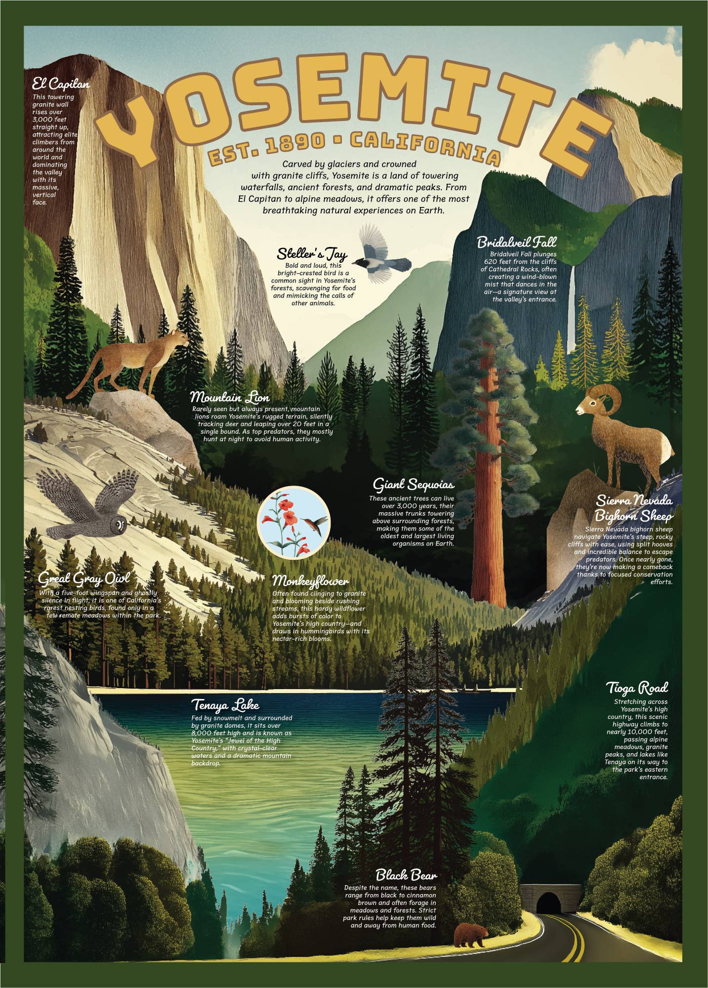 123 Farm - Yosemite National Park Puzzle