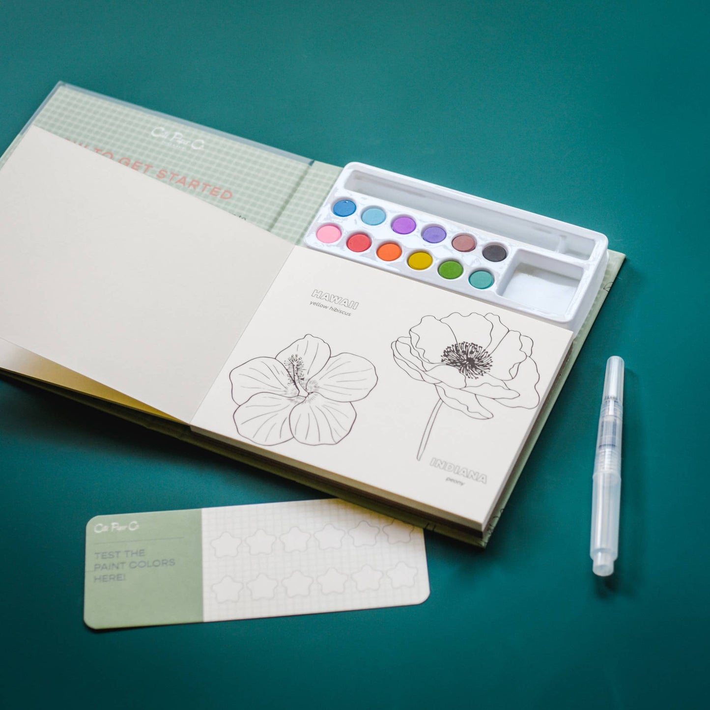 Cate Paper Co. - Watercolor Book and Paint Set - State Flowers