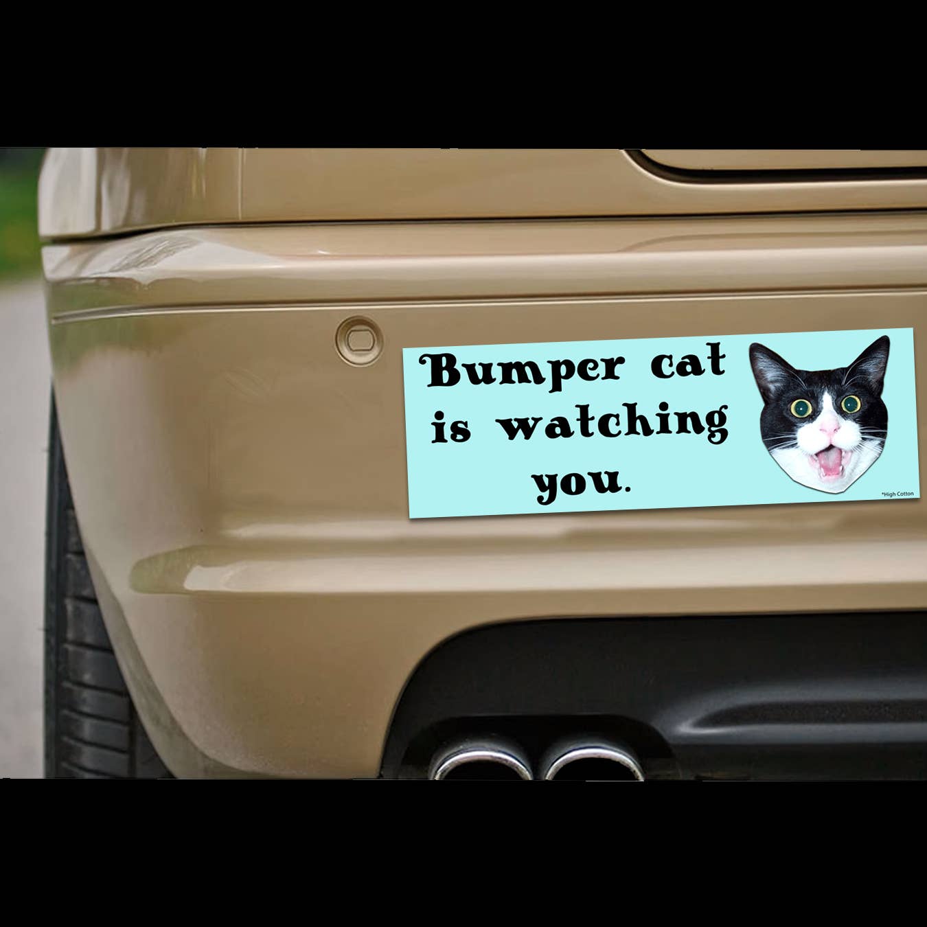 High Cotton Gifts - Bumper Cat Car Magnet
