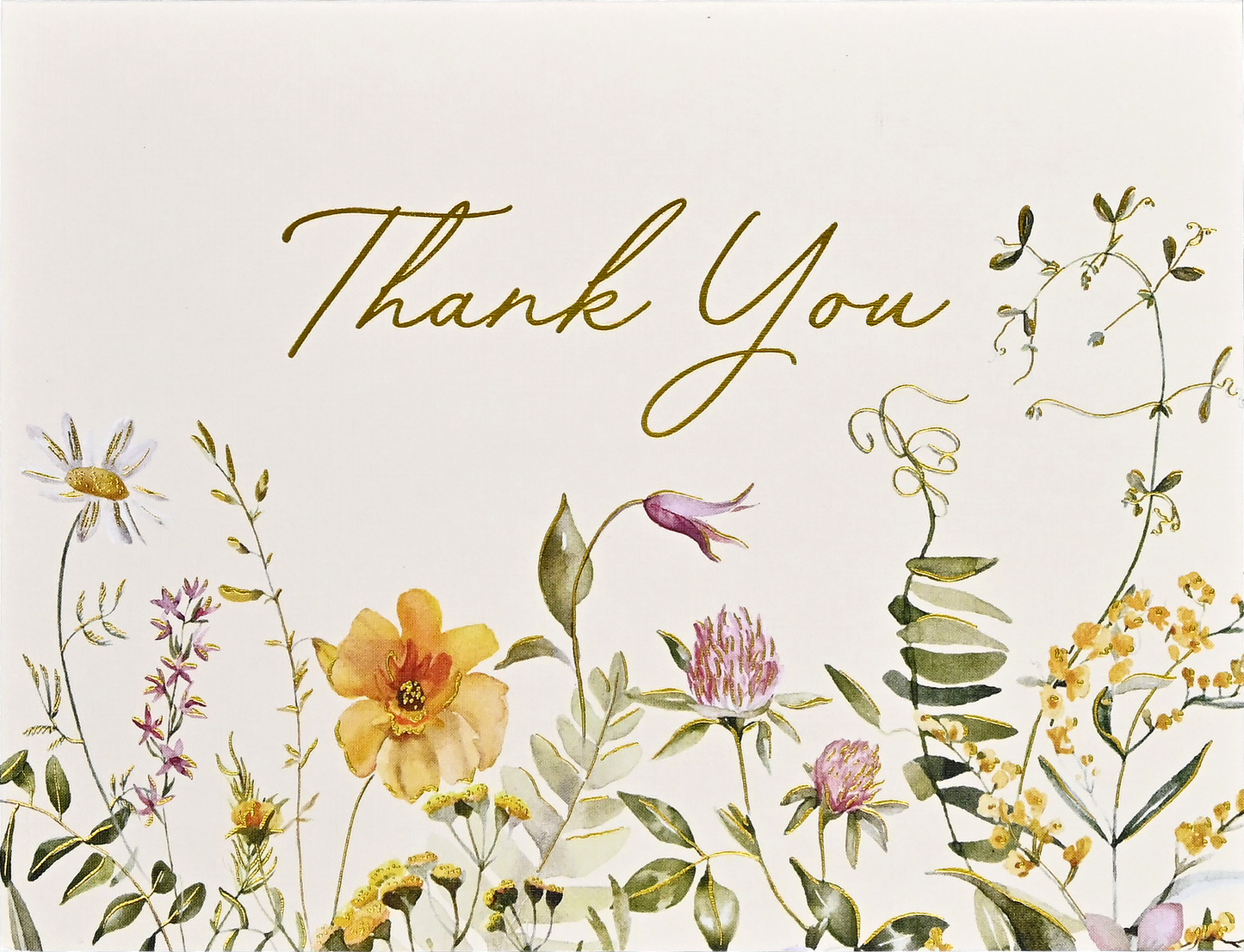 Peter Pauper Press - Wildflowers Premium Thank You Note Cards