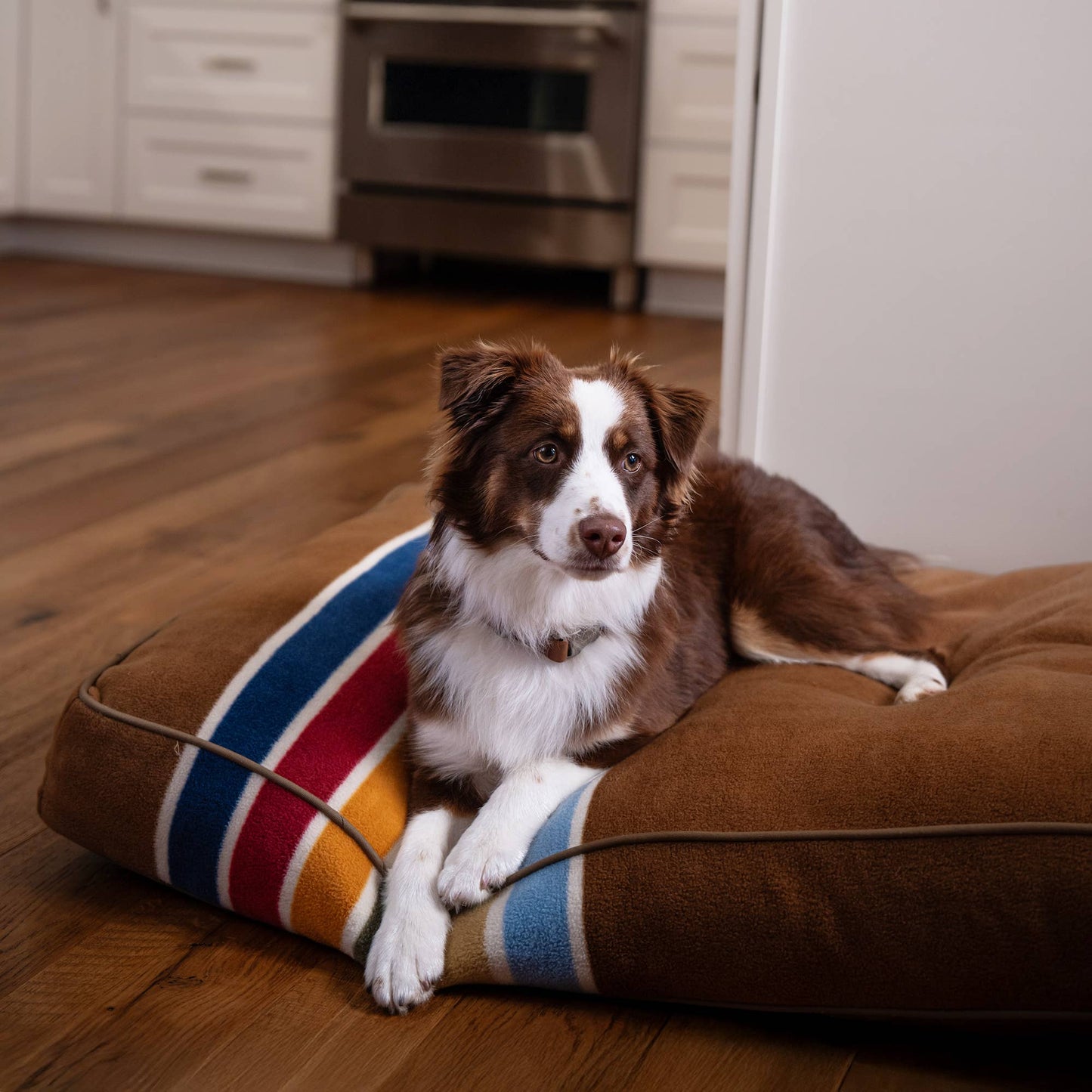 Carolina Pet Company - Pendleton Pet Napper Dog Bed