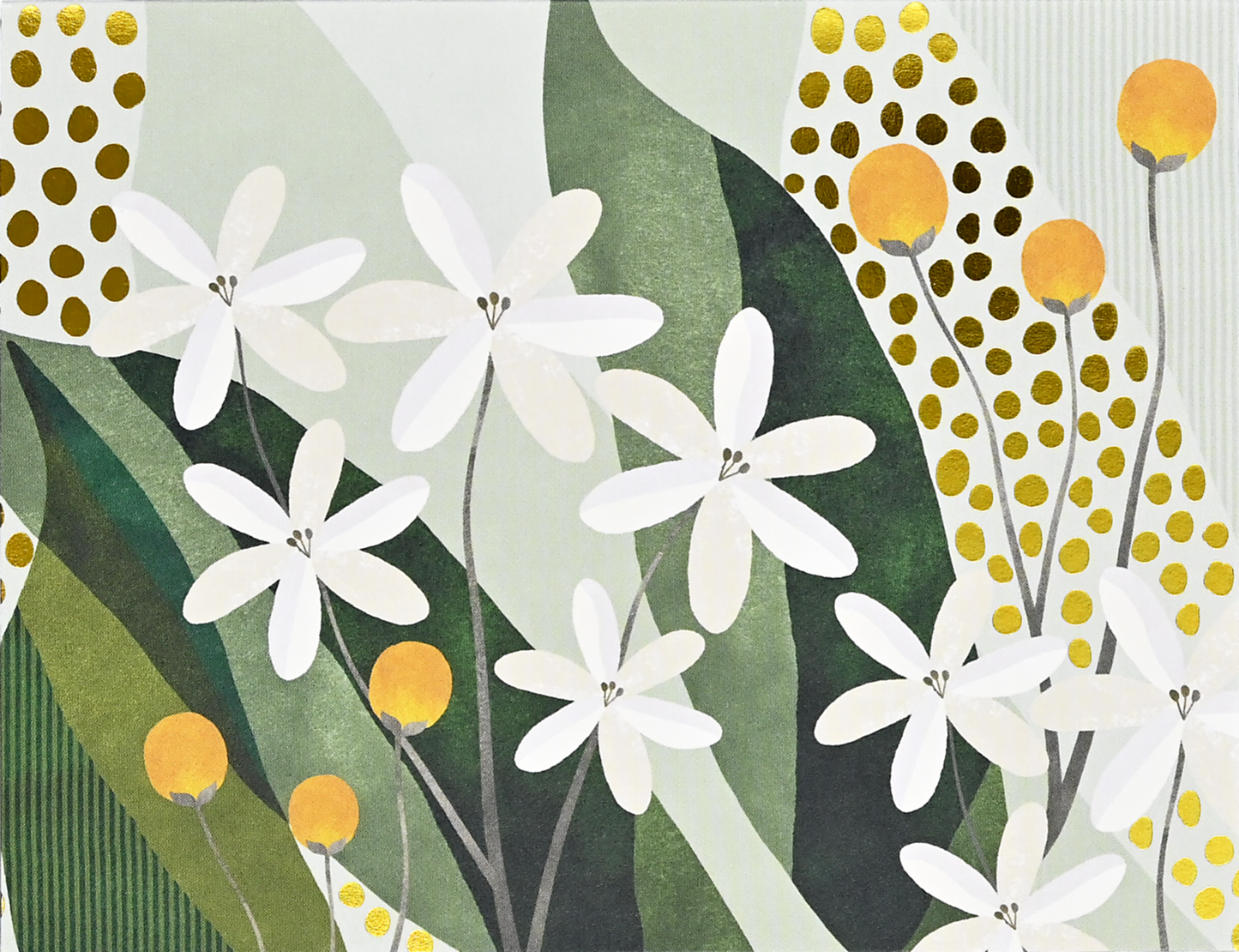 Peter Pauper Press - Floral Premium Note Cards